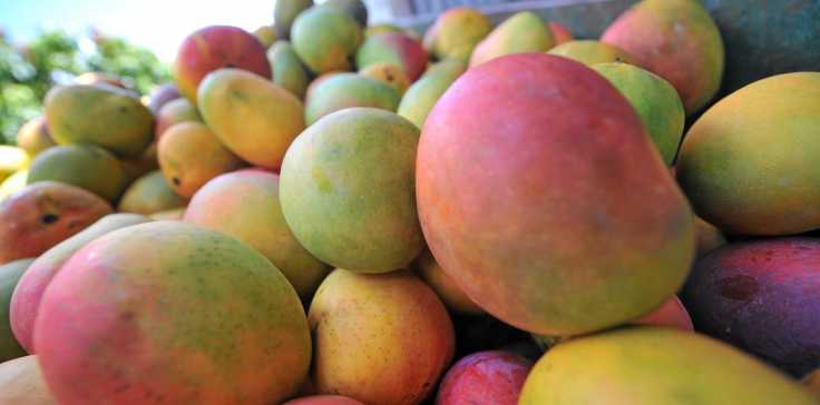 Health Benefits Of&nbsp;Mango