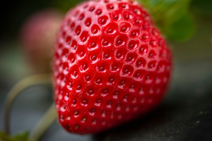 Health Benefits Of&nbsp;Strawberry