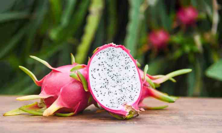 Dragon fruit is a delicious and nutritious fruit that you should consider adding to your diet. It offers numerous health benefits and is a great way to boost your overall&nbsp;well-being.