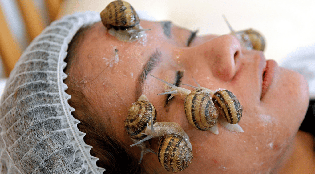How Does Snail Slime Help The Human Skin? β DoctorPanie