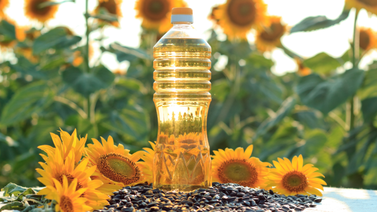 Health Benefits Of Sunflower&nbsp;Oil