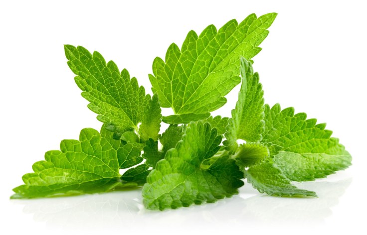 Health Benefits Of Mint&nbsp;leaves