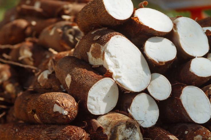 Health Benefits Of&nbsp;Cassava
