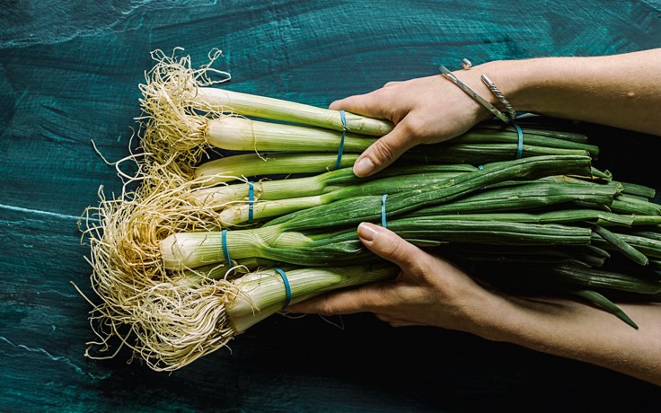 The health benefits of Spring&nbsp;Onions