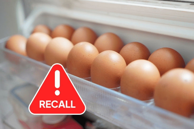 Major Egg Recall: Salmonella Outbreak Affects 1.5M Dozen Eggs